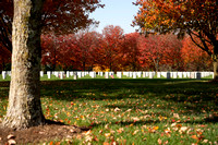 Conn- National Cemetery and Albany area.