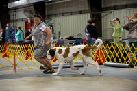 FallfestSaturday2018ProofsbyBSPhotography-2679