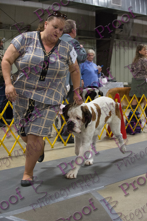 FallfestSaturday2018ProofsbyBSPhotography-2673