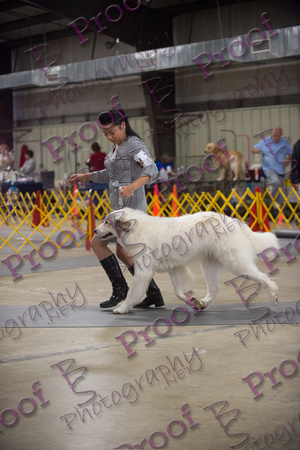 FallfestProofsbyBSPhotography-9785