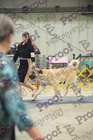 ASDCANationalsProofsbyBSPhotography-7284