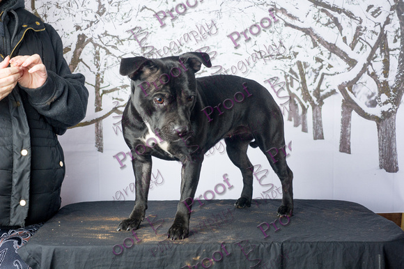 PortraitProofsbyBSPhotography-8869